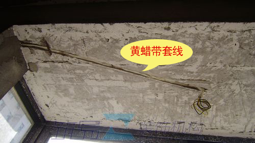 P7270295副本.jpg
